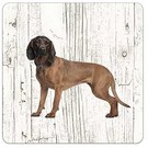 Creatief Art Hond Beierse Bergzweethond | Houten Onderzetters 6 Stuks