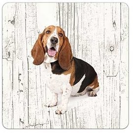 Creatief Art Hond Basset Artésien Normand | Houten Onderzetters 6 Stuks