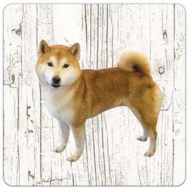 Creatief Art Hond Shiba | Houten Onderzetters 6 Stuks