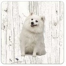 Creatief Art Hond Japanse Spits | Houten Onderzetters 6 Stuks