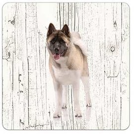 Creatief Art Hond Amerikan Akita | Houten Onderzetters 6 Stuks