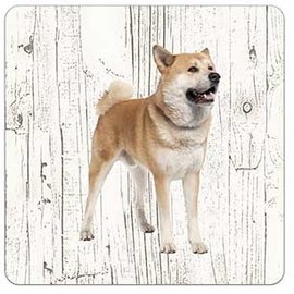 Creatief Art Hond Akita | Houten Onderzetters 6 Stuks