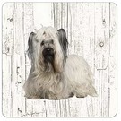 Creatief Art Hond Skye Terriër | Houten Onderzetters 6 Stuks
