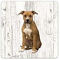 Creatief Art Hond American Staffordshire Terrier | Houten Onderzetters 6 Stuks