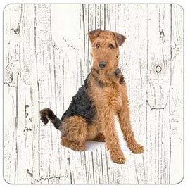 Creatief Art Hond Airedale Terrieér | Houten Onderzetters 6 Stuks