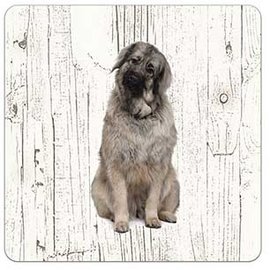 Creatief Art Hond Serplanac (Joegoslavische herder) | Houten Onderzetters 6 Stuks