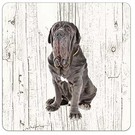 Creatief Art Hond Mastino Napoletano | Houten Onderzetters 6 Stuks