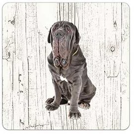 Creatief Art Hond Mastino Napoletano | Houten Onderzetters 6 Stuks