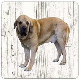 Creatief Art Hond Spaanse Mastiff | Houten Onderzetters 6 Stuks