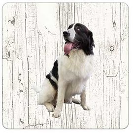 Creatief Art Hond Landseer ECT | Houten Onderzetters 6 Stuks