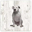 Creatief Art Hond Dogo Argentino | Houten Onderzetters 6 Stuks