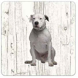 Creatief Art Hond Dogo Argentino | Houten Onderzetters 6 Stuks