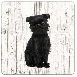 Creatief Art Hond Affenpinscher | Houten Onderzetters 6 Stuks