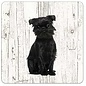 Creatief Art Hond Affenpinscher | Houten Onderzetters 6 Stuks