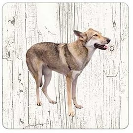 Creatief Art Hond Saarloos Wolfhond | Houten Onderzetters 6 Stuks