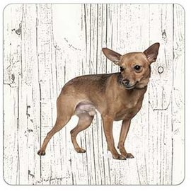 Creatief Art Hond Dwergpinscher | Houten Onderzetters 6 Stuks