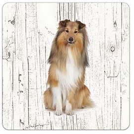 Creatief Art Hond Shetland Scheepdog(Sheltie) | Houten Onderzetters 6 Stuks