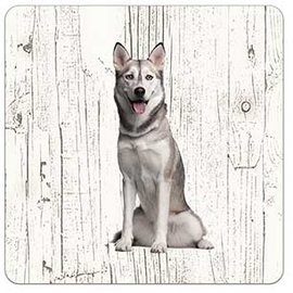 Creatief Art Hond Sibersche Husky | Houten Onderzetters 6 Stuks