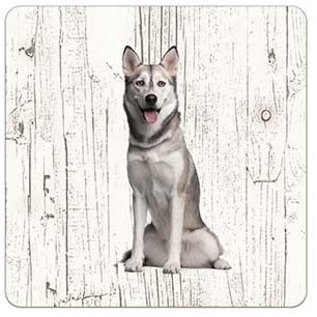 Creatief Art Hond Sibersche Husky | Houten Onderzetters 6 Stuks