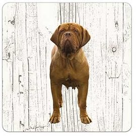 Creatief Art Hond Bordeaux Dog | Houten Onderzetters 6 Stuks
