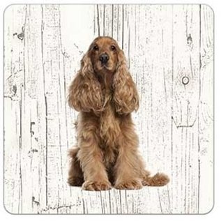 Creatief Art Hond Engelse Cocker | Houten Onderzetters 6 Stuks