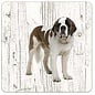 Creatief Art Hond Sint Bernard | Houten Onderzetters 6 Stuks