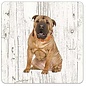 Creatief Art Hond Shar Pei | Houten Onderzetters 6 Stuks