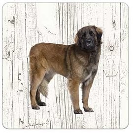 Creatief Art Hond Leonberger | Houten Onderzetters 6 Stuks