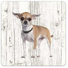 Creatief Art Hond Chihuahua kort haar | Houten Onderzetters 6 Stuks