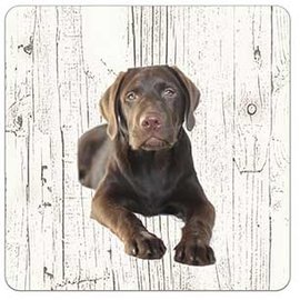 Creatief Art Hond Labrador bruin | Houten Onderzetters 6 Stuks