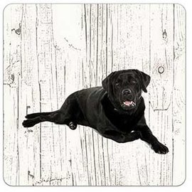 Creatief Art Hond Labrador zwart | Houten Onderzetters 6 Stuks