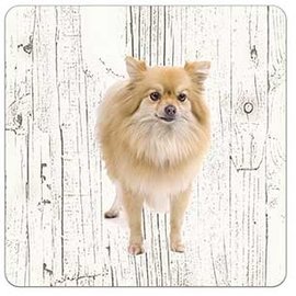 Creatief Art Hond keeshond | Houten Onderzetters 6 Stuks