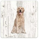 Creatief Art Hond Golden Retriever | Houten Onderzetters 6 Stuks