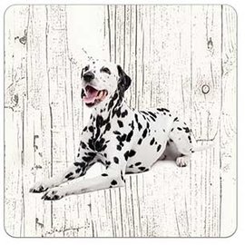 Creatief Art Hond DALMATIËR | Houten Onderzetters 6 Stuks