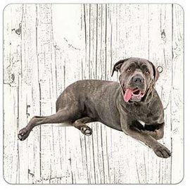 Creatief Art Hond cane corso | Houten Onderzetters 6 Stuks