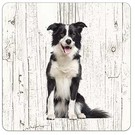 Creatief Art Hond bordercollie | Houten Onderzetters 6 Stuks
