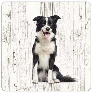 Creatief Art Hond bordercollie | Houten Onderzetters 6 Stuks