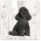 Creatief Art Hond Poedel zwart | Houten Onderzetters 6 Stuks