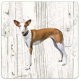 Creatief Art Hond podenco | Houten Onderzetters 6 Stuks