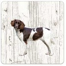 Creatief Art Hond heidewachtel | Houten Onderzetters 6 Stuks