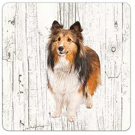 Creatief Art Hond Collie | Houten Onderzetters 6 Stuks