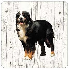 Creatief Art Hond Berner Senne | Houten Onderzetters 6 Stuks