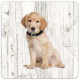 Creatief Art Hond Labrador | Houten Onderzetters 6 Stuks