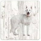 Creatief Art Hond Husky | Houten Onderzetters 6 Stuks