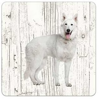 Creatief Art Hond Husky | Houten Onderzetters 6 Stuks