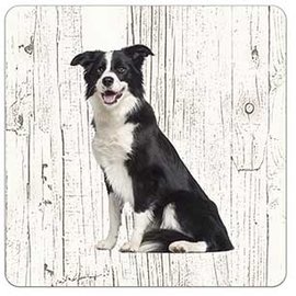 Creatief Art Hond Border Collie | Houten Onderzetters 6 Stuks