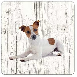 Creatief Art Hond Jack Russel | Houten Onderzetters 6 Stuks