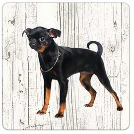 Creatief Art Hond Petit Brabancon | Houten Onderzetters 6 Stuks