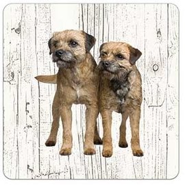 Creatief Art Hond Border Terriër | Houten Onderzetters 6 Stuks