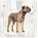 Creatief Art Hond Border Terriër | Houten Onderzetters 6 Stuks